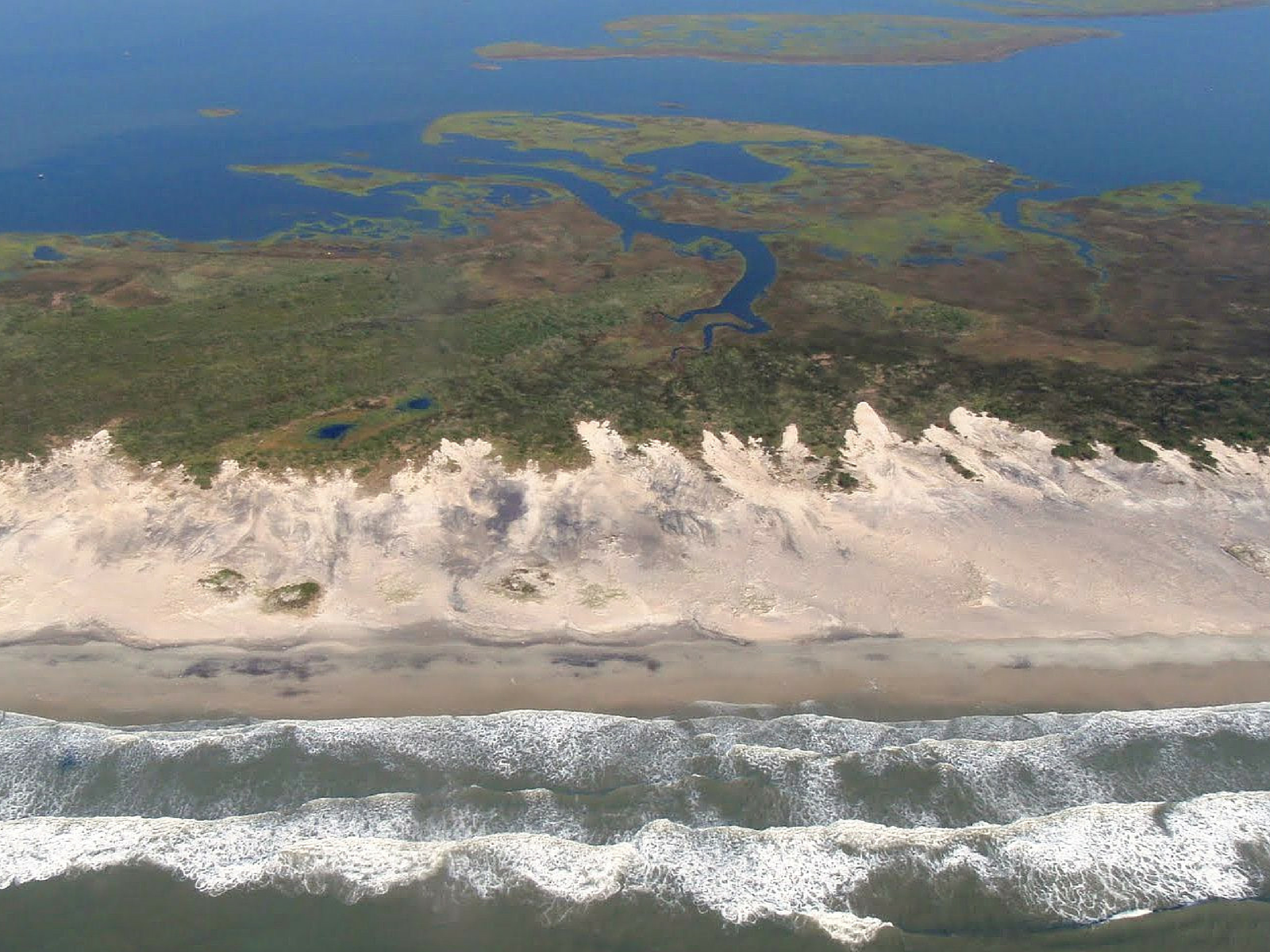 wetland aerial